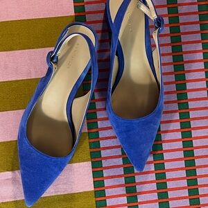 Ann Taylor Blue Slingback Heels with Pointed Toe